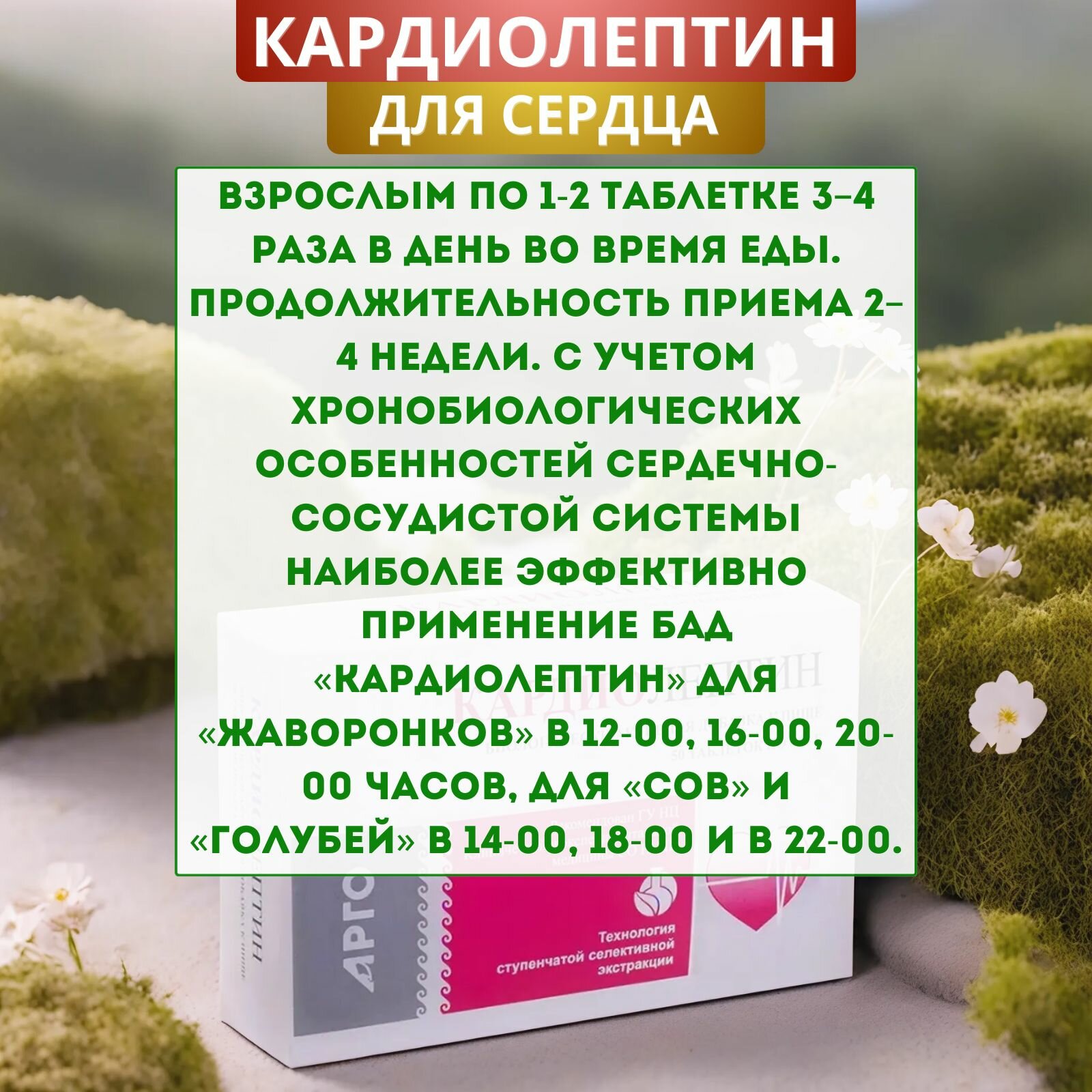 Картинки Кардиолептин для сердечно-сосудистой системы, таблетки, 50 шт.