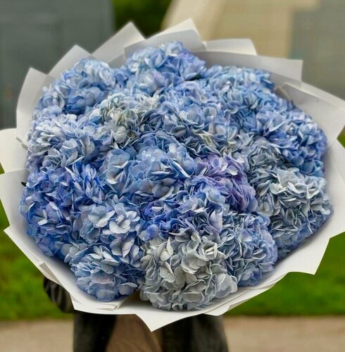 Изображение товара Свежий букет из бриллиантовых гортензий 15 шт. с доставкой до двери