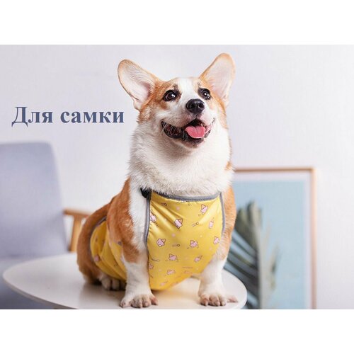 Попона для собак Onyx Pet, грязезащитная с водоотталкивающим эффектом, для корги самка, размер M