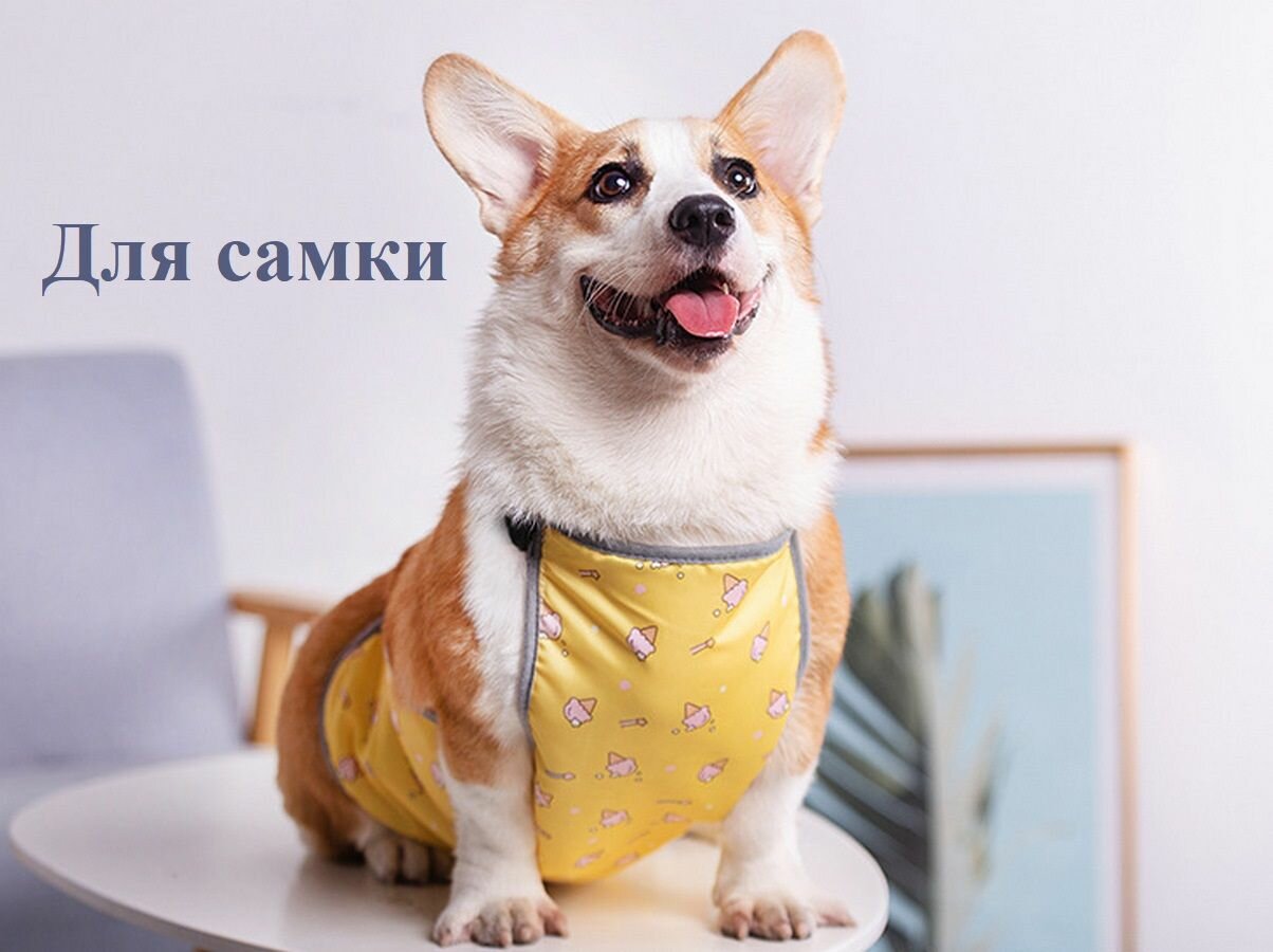 Попона для собак Onyx Pet, грязезащитная с водоотталкивающим эффектом, для корги самка, размер L