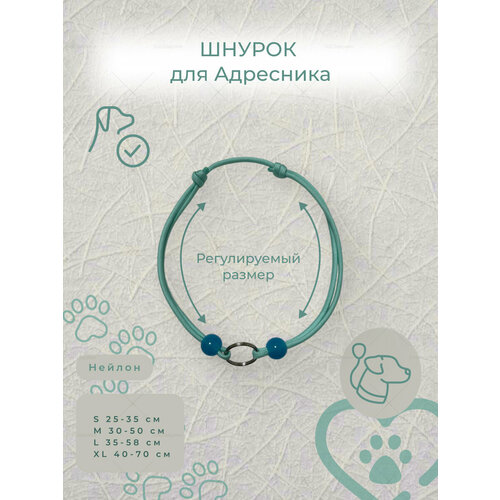 Шнурок-Адресник, голубой, нейлон, паракорд, влагозащитный, XS, для собак и кошек