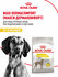 Сухой корм для собак крупных пород Royal Canin Maxi Dermacomfort ...