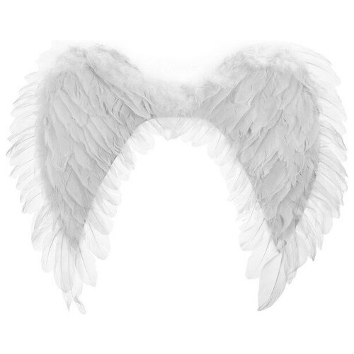 фото Крылья ангела, 48×63, цвет белый страна карнавалия
