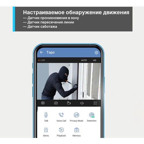 Камера видеонаблюдения IP TP-Link TC65 389-389мм цв 598600₽