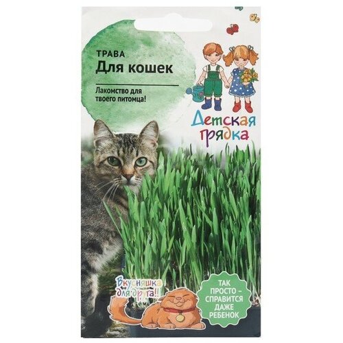 Семена Трава для кошек Смесь, Детская грядка,10 г семена трава для кошек смесь детская грядка 10 г