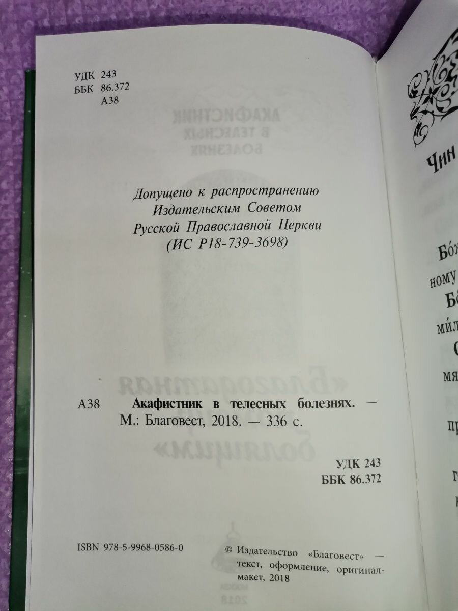 Акафистник в телесных болезнях "Благодатная помощь болящим" - фото №15