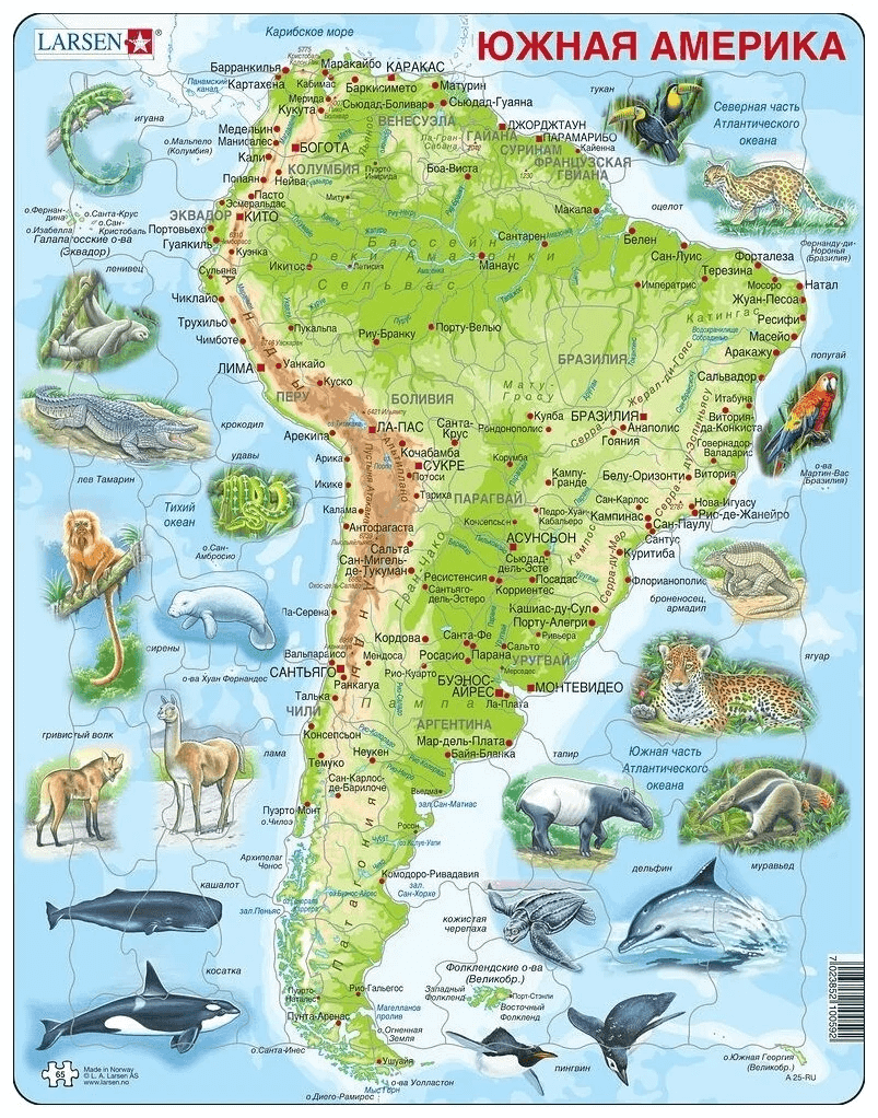 Пазл Larsen "Южная Америка", русский, 65 деталей A25