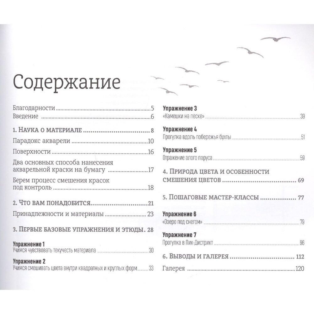 Акварельная живопись: Практические советы, которые сделают ваши картины лучше. Школа художника - фото №9