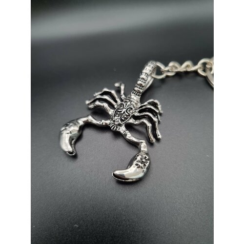 Брелок гладкая фактура Chrysler серый серебряный 401₽