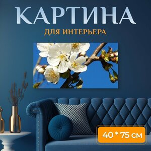 Картина на холсте "Цвести, белый, весна" на подрамнике 75х40 см. для интерьера