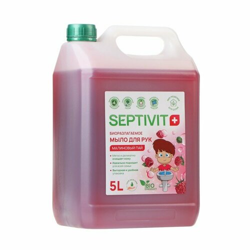 Жидкое мыло SEPTIVIT Малиновый пай, 5 л (комплект из 2 шт)