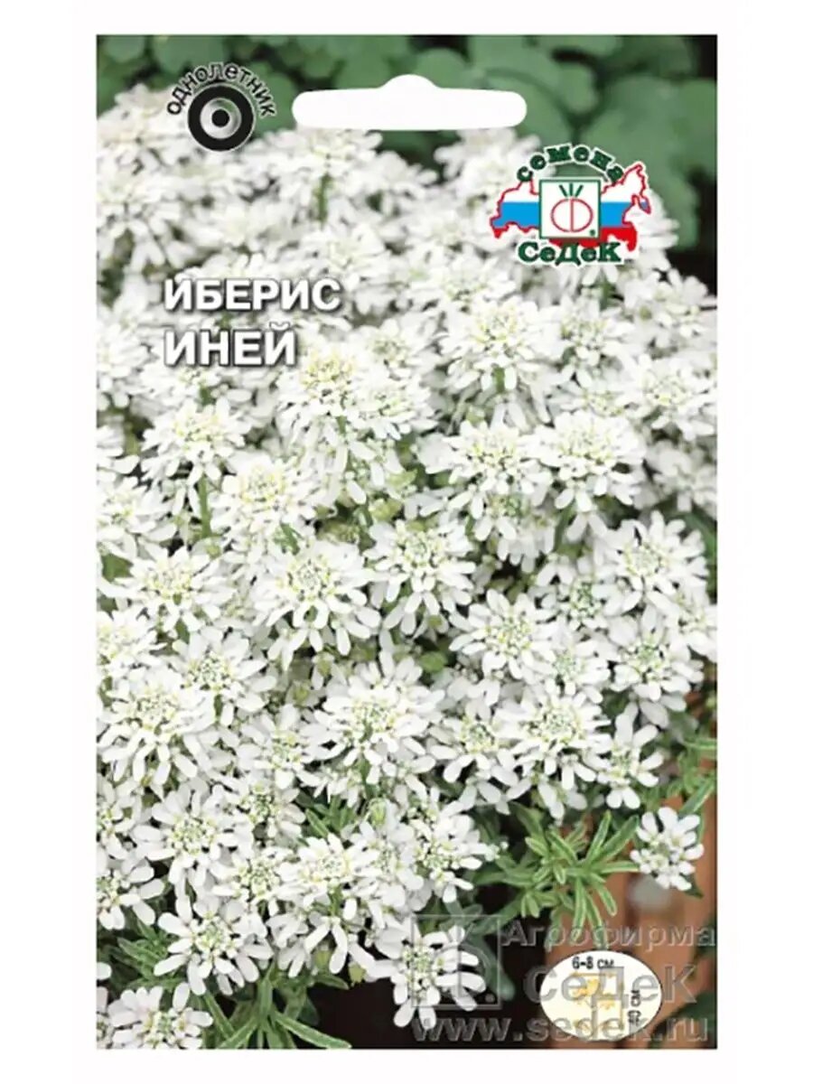 Иберис Иней 0,5г