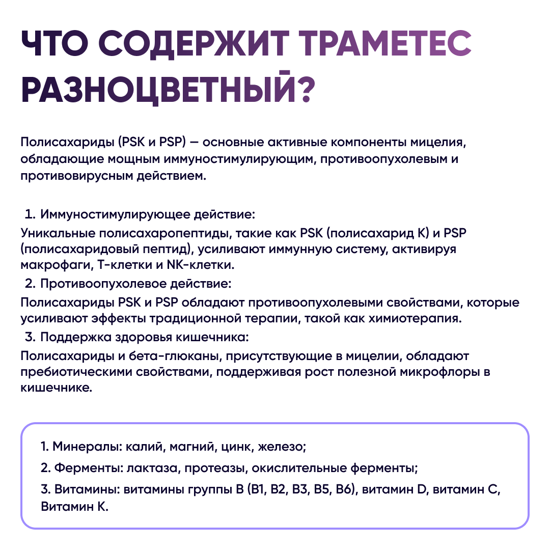 Гомеопатические Препараты Для Повышения Иммунитета Траметес экстракт 30 мл (Суперфуд, Trametes versicolor, Turkey Tail)