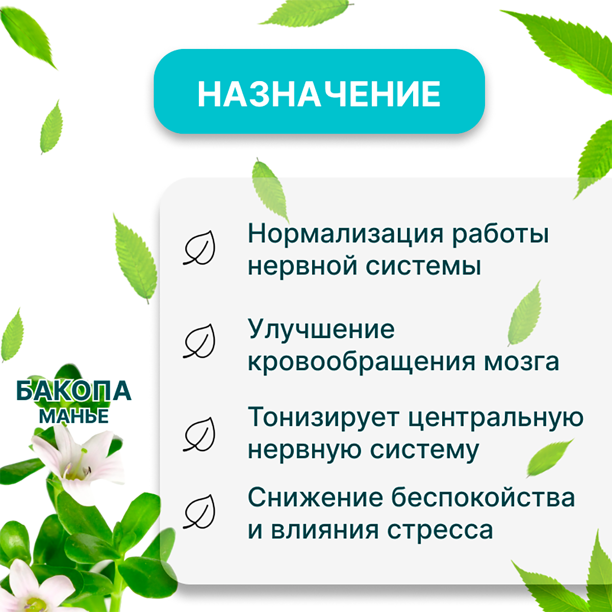 Изображение Аюрведическая пищевая добавка Himalaya Brahmi для нервной системы, 60 таблеток