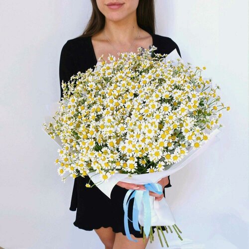 Изображение товара Ромашки, ароматная охапка 25 штук