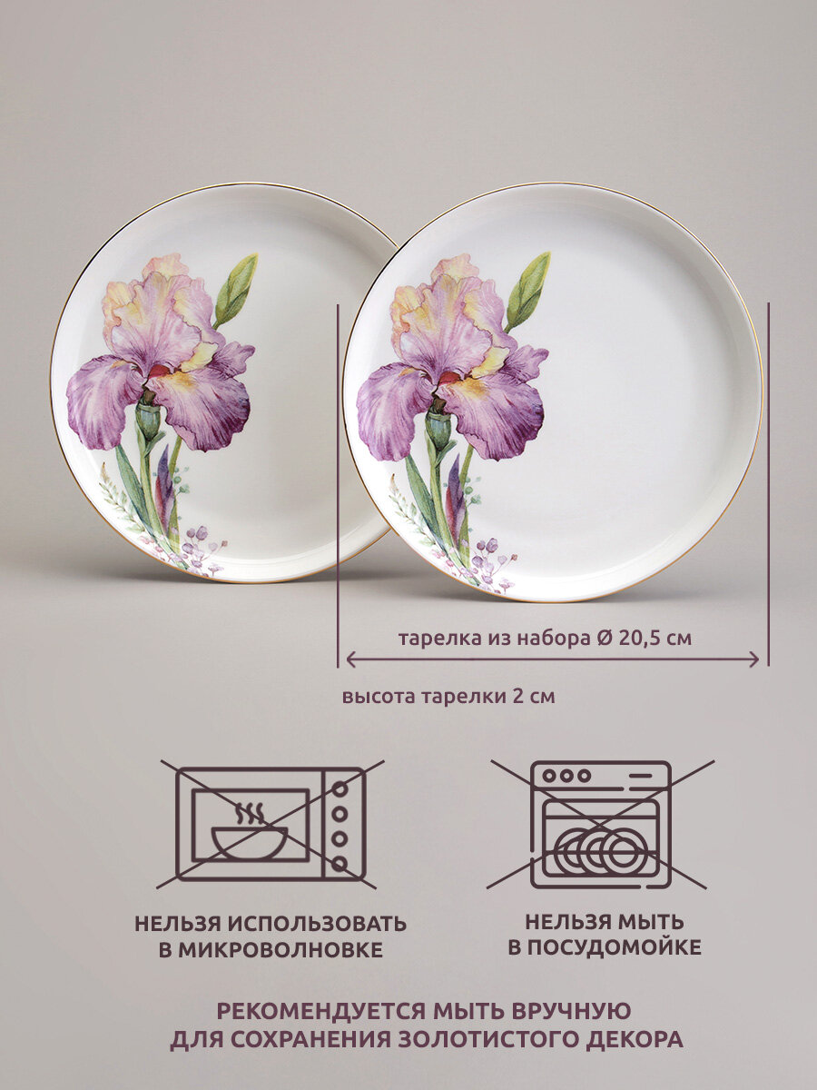 Тарелки Lefard "Irises", закусочные, набор 2 шт, фарфоровые, 20,5 см. — фото 1