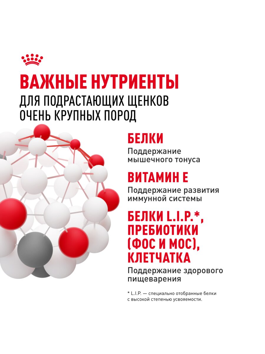 Сухой корм Royal Canin Giant Junior для щенков от 8 месяцев гигантских пород Птица, 15 кг. — фото 1