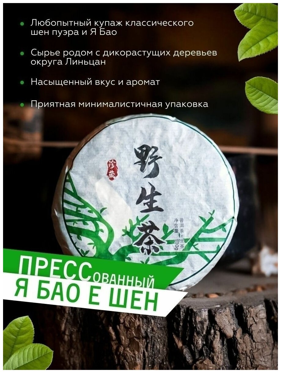 Чай Зеленый Пуэр Я Бао Е Шен 100г Чайная мастерская - фотография № 4