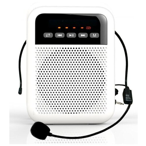 Радиосистема для экскурсий LAudio WS-VA030 300000₽