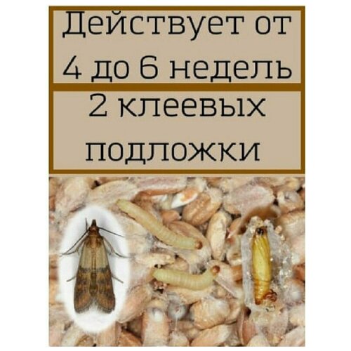 Феромоны для отлова пищевой моли 5 штук в комплекте Сельпо