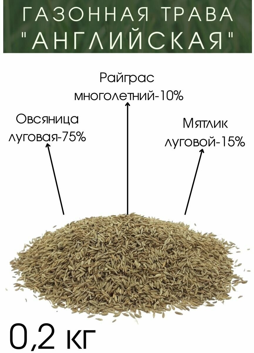 Газонная Трава "Английская" 200 гр.