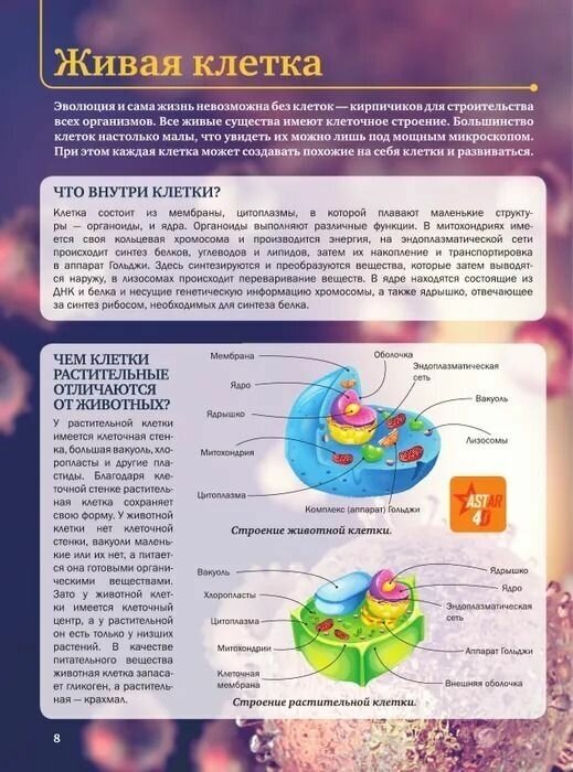 Живой мир (Спектор Анна Артуровна; Кошевар Дмитрий Васильевич; Ликсо Вячеслав Владимирович) - фото №11