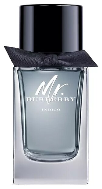 Burberry туалетная вода Mr. Burberry Indigo, 100 мл