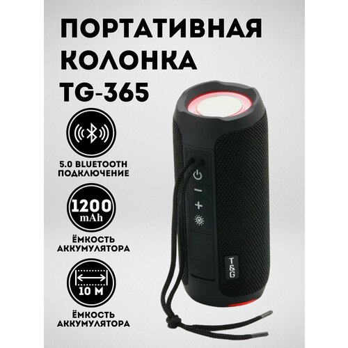 Портативная акустическая система, Bluetooth колонка T &G TG-365