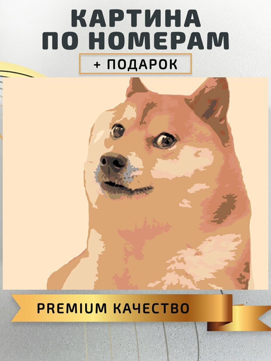 Картина по номерам Мем собака Акита Ину / Akita inu dog холст на подрамнике 50*40