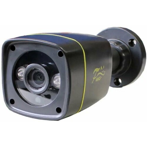 Камера уличная FX-P2C 2 Мп 36 мм 1080p FULL HD цилиндрическая 239900₽