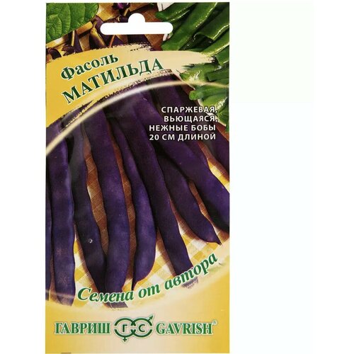 Семена Фасоль овощная раннеспелая Матильда , Гавриш, 5 грамм, 1 пакет (фиолетовый)