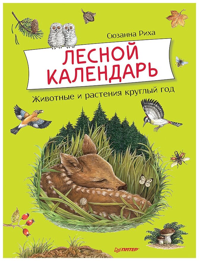 Лесной календарь Животные и растения круглый год