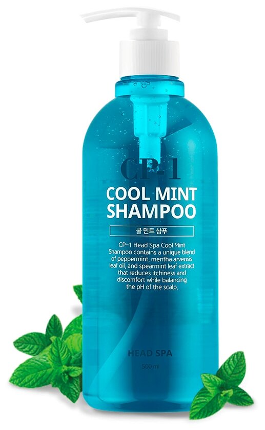 Esthetic House шампунь для волос Head Spa Cool Mint охлаждающий, 500 мл