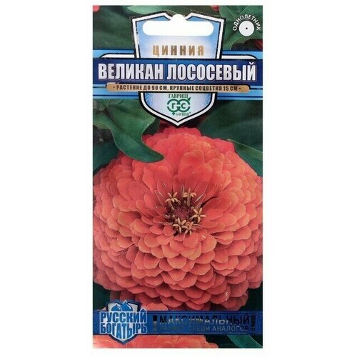 Семена цветов Цинния Великан лососевый, 0,3 г 12 упаковок цинния великан пурпурный семена цветы