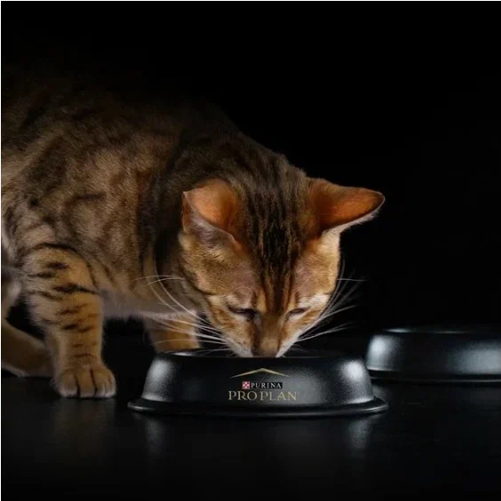 Purina Veterinary Diets DM St/Ox влажный корм для взрослых кошек при диабете, с говядиной, 10x85 г = 850 г - фото №12