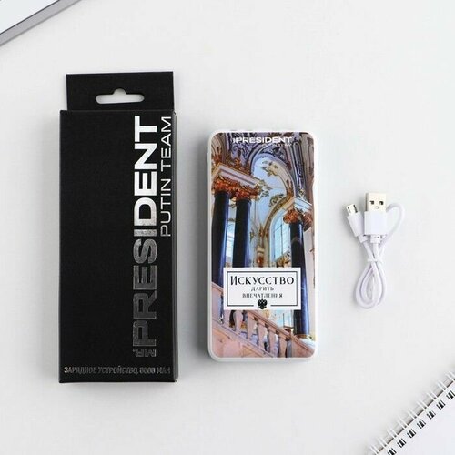 Зарядное устройство Искусство 8000мА модель PB-21 145 х 69 см 258400₽