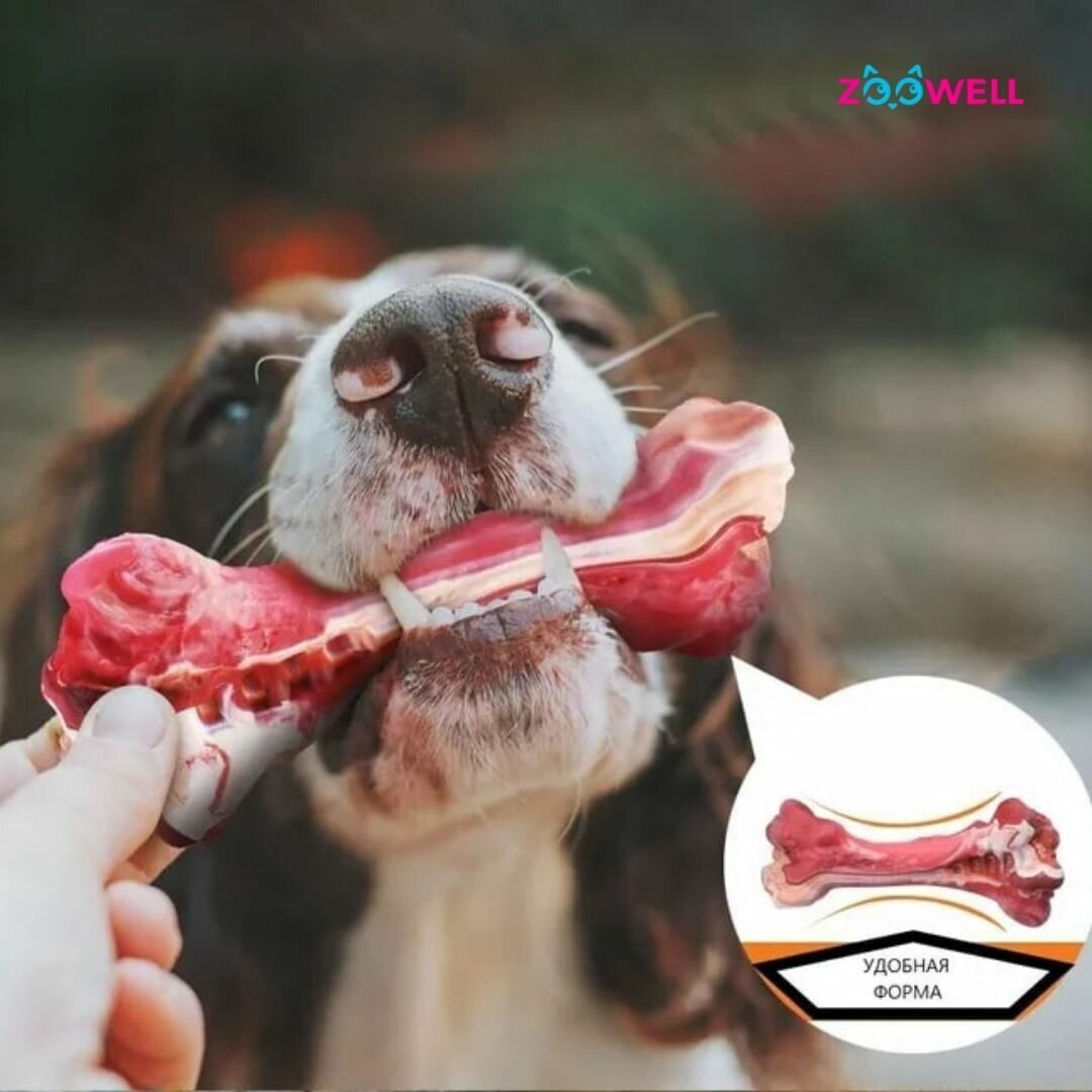 Игрушка для собак ZooWell Play Eco-friendly, косточка-кусалка жевательная для зубов, красная - фотография № 7