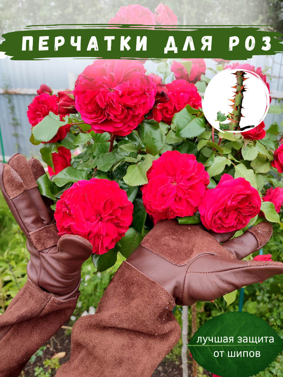 Садовые перчатки для роз из натуральной кожи с защитой пальцев и ладони