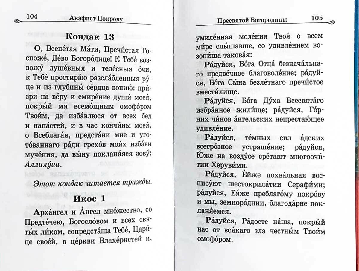 Акафистник за Отечество "Щит земли Русской" - фото №10