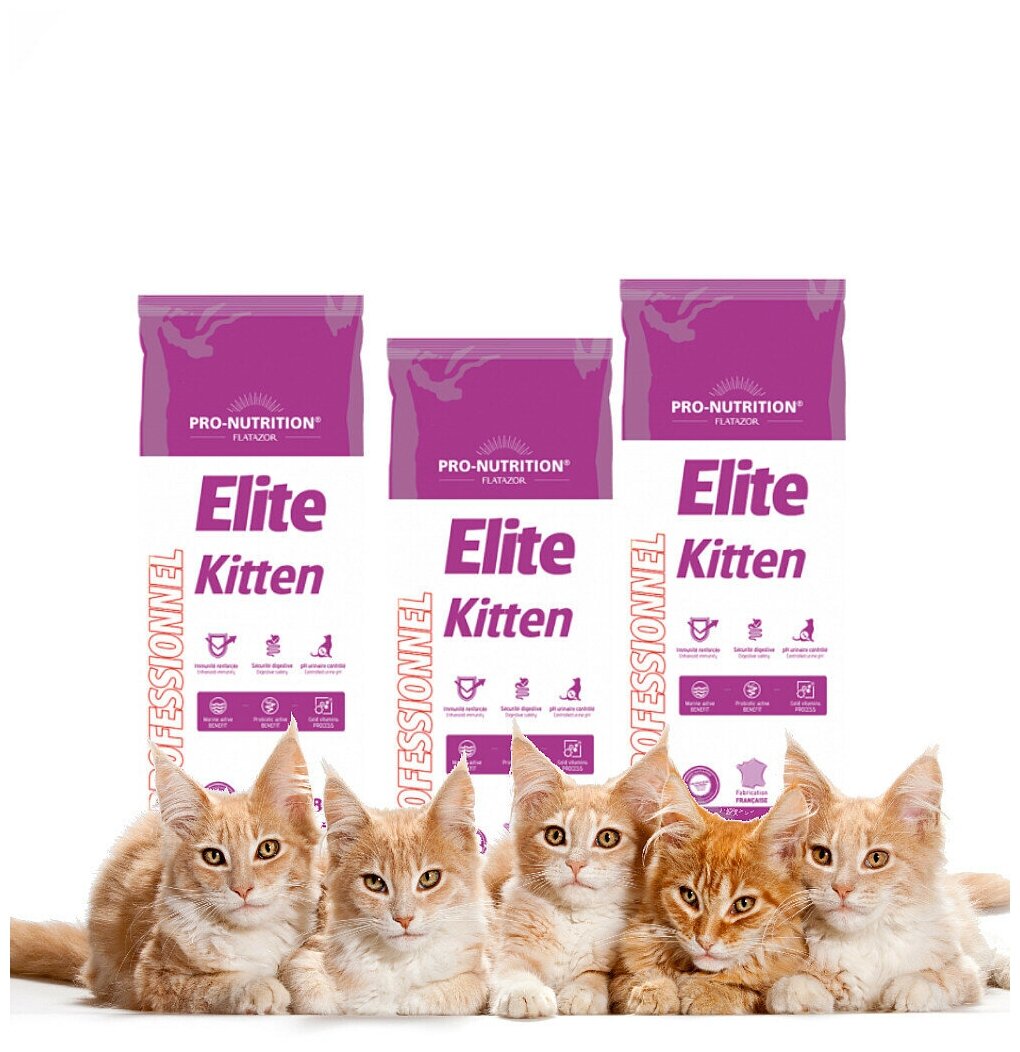 Сухой корм для кошек Flatazor Elite Kitten (8 кг.) Полнорационный корм для котят и кошек в конце беременности и в период лактации