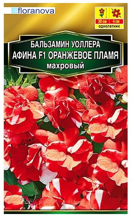 Семена Бальзамин Афина F1 оранжевое пламя махровый 5 шт (сеян) (Аэлита)