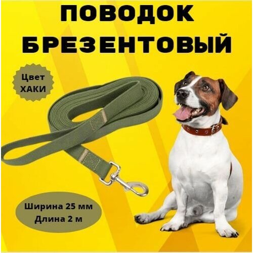 Поводок брезентовый Моськи-Авоськи 25 мм х 2 м, цвет хаки