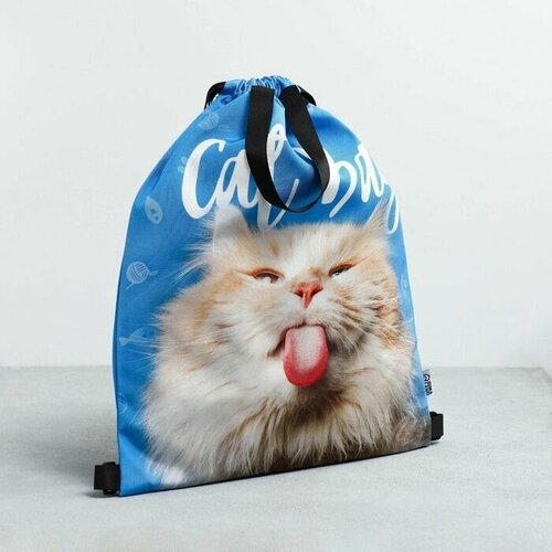 Мешок, сумка для обуви, сменки, сменной Cat Bag, два вида ручек, 41х31 см