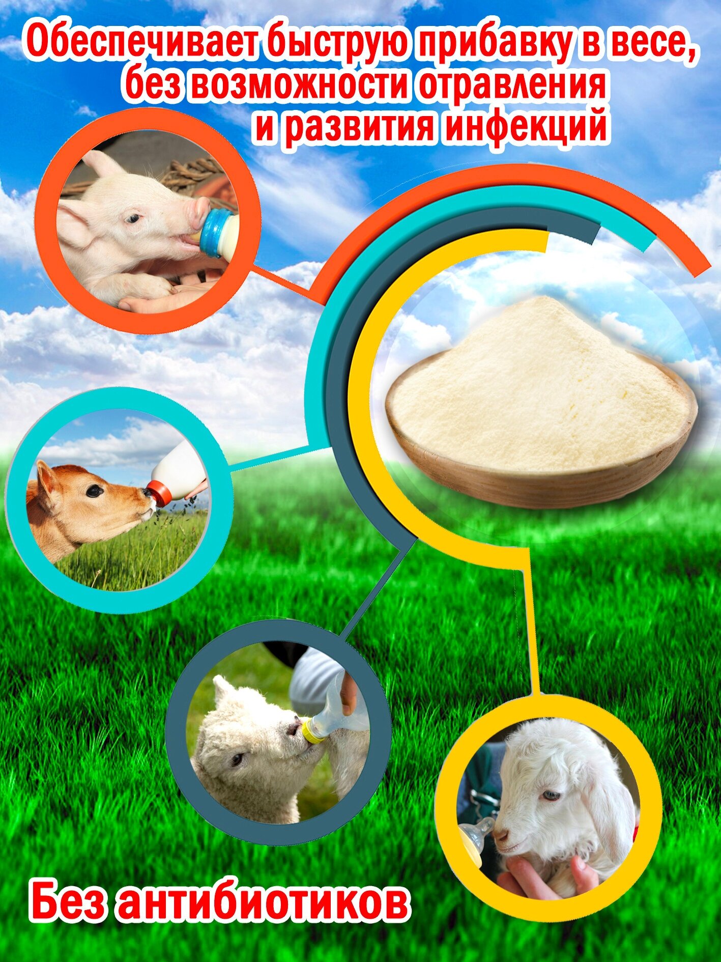 Заменитель цельного молока 12% со Льном пакет 2 кг. (2000гр.) производство Беларусь для животных - фотография № 3
