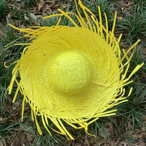 Гавайская шляпа