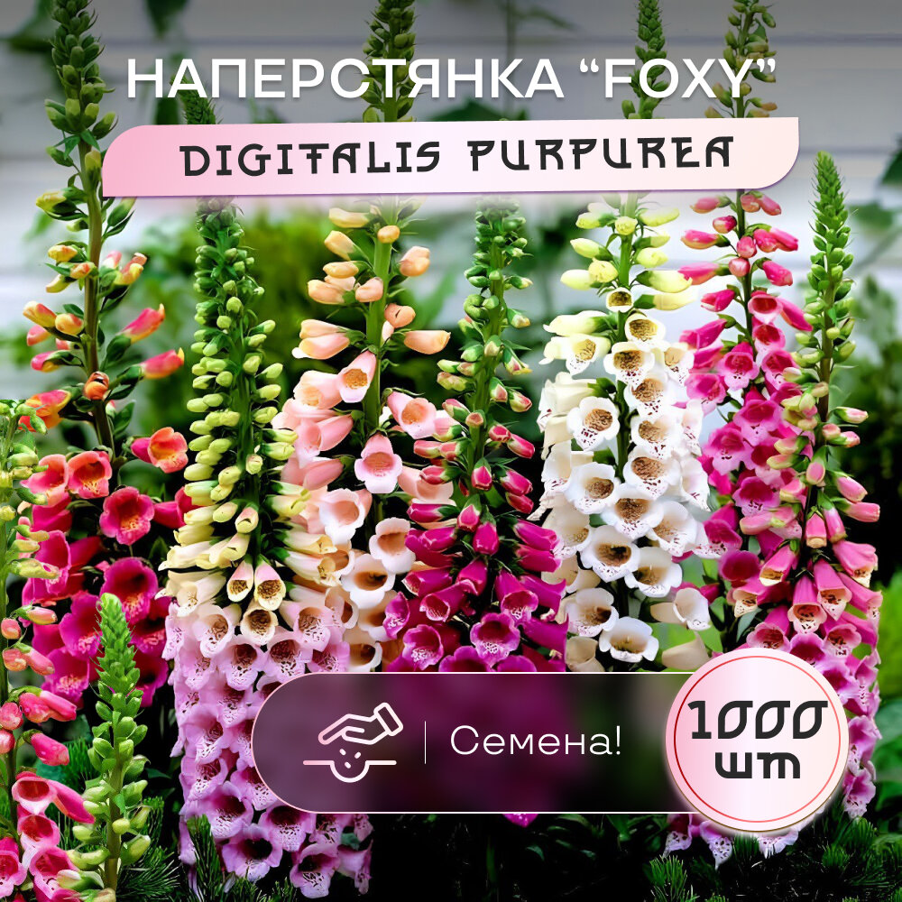 Семена наперстянки Foxy SVN seeds цвет-микс смесь цветов 1000 штук