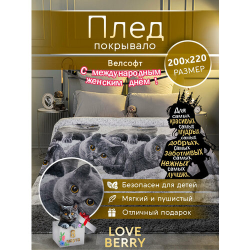Плед 200х220 см LOVEBERRY из велсофта, Евро, в спальню, на диван, Британцы, подарок на 8 марта