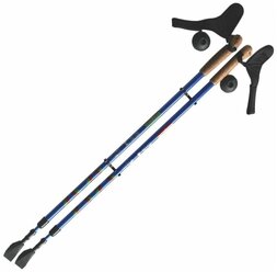 Палки для скандинавской ходьбы со сменными комплектующими Ergoforce E-0673 сине-серебристый