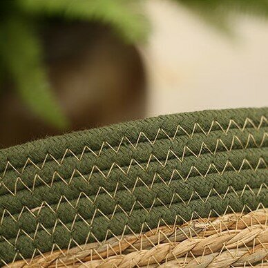 Лежанка-корзинка зеленая с кошачьими ушами с мягкой подушкой 450x450x150 - фотография № 6