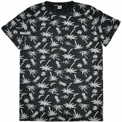 Футболка Sadiq, размер 48, черный